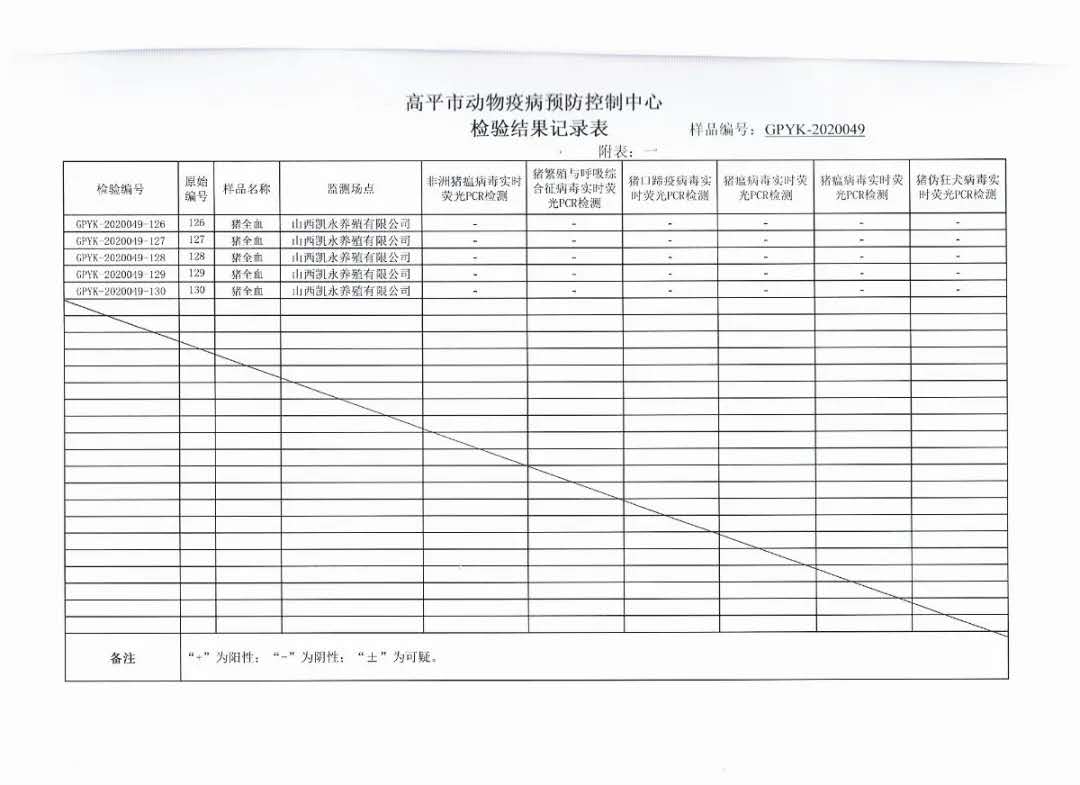 365速发国际(中国)官方网站