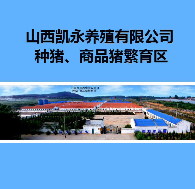 沼气站俯瞰图