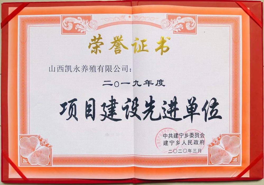 365速发国际(中国)官方网站