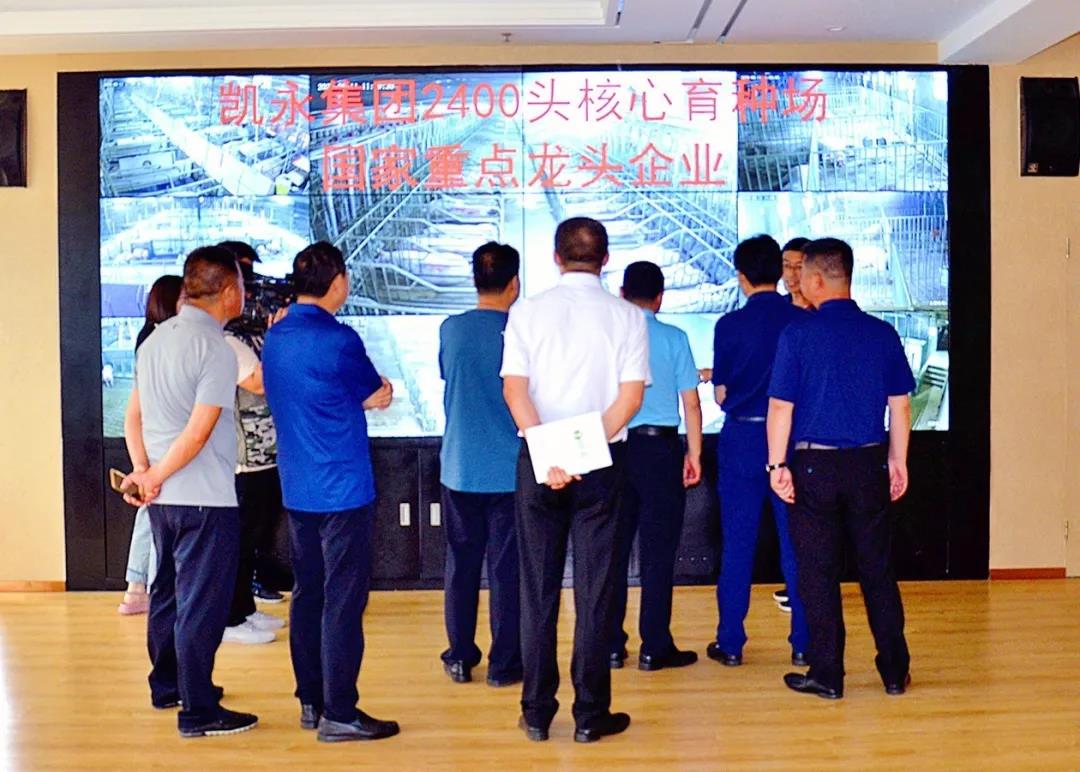 凯时KB88·(中国区)官方网站