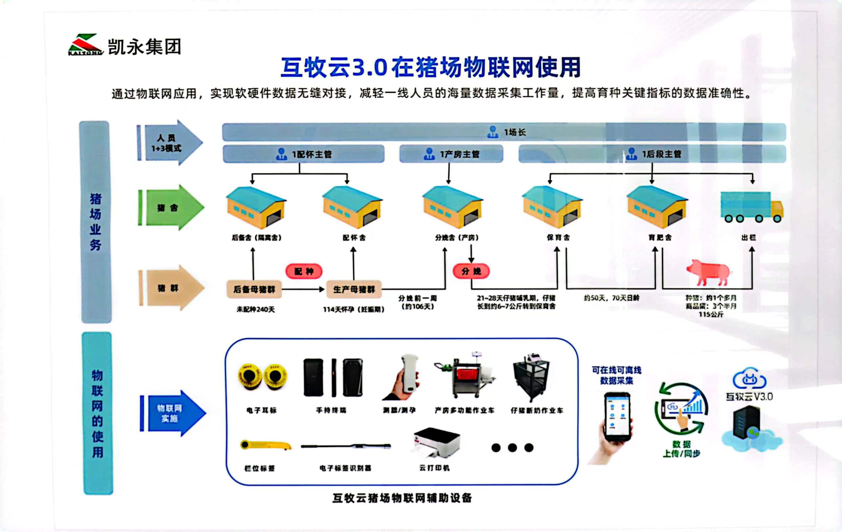 数字化赋能养殖 || 奇发28pc开启“智慧畜牧”新时代