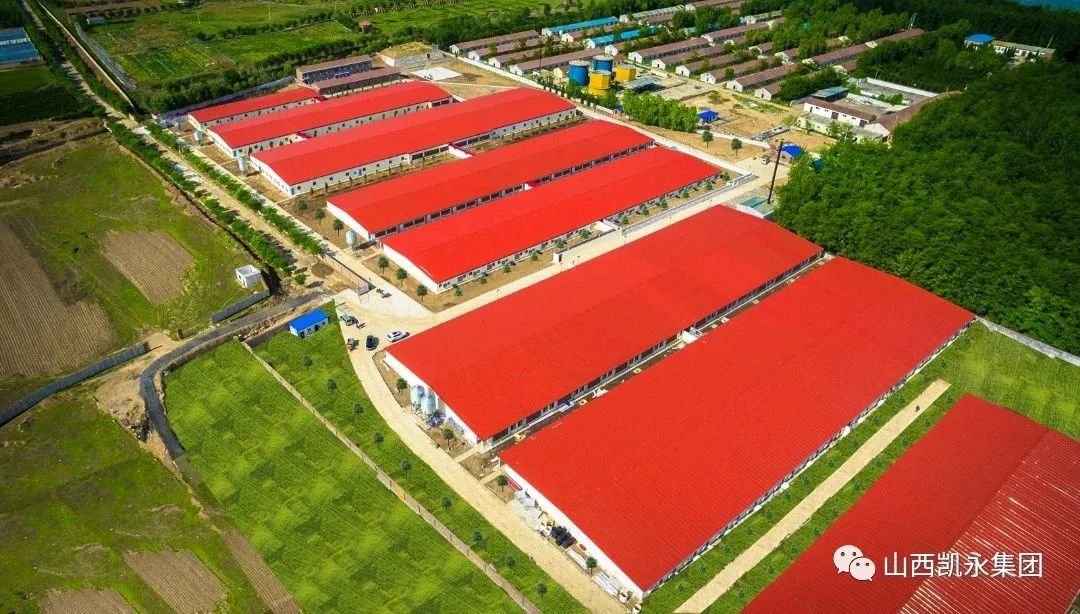喜报 || 奇发28pc旗下山西奇发28pc养殖有限公司、太行润源食物有限公司喜获农业工业化国家重点龙头企业称呼