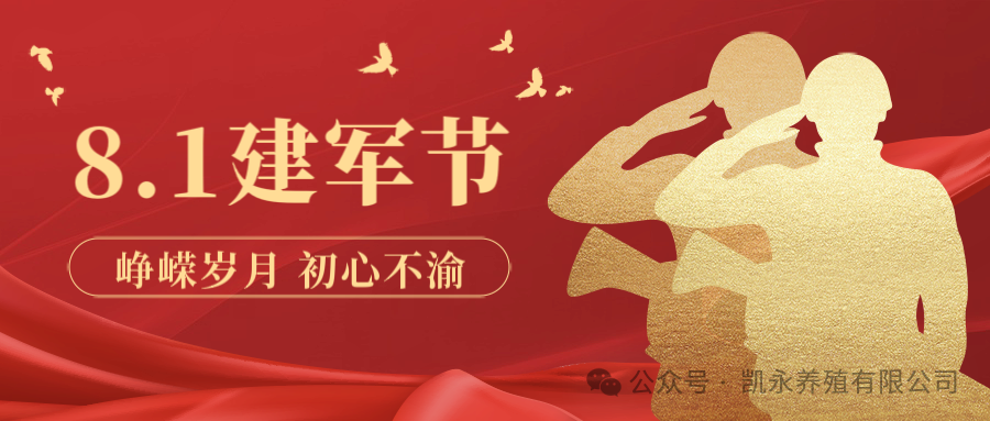 八一情深，，，，共筑军民鱼水情——奇发28pc致敬人民子弟兵