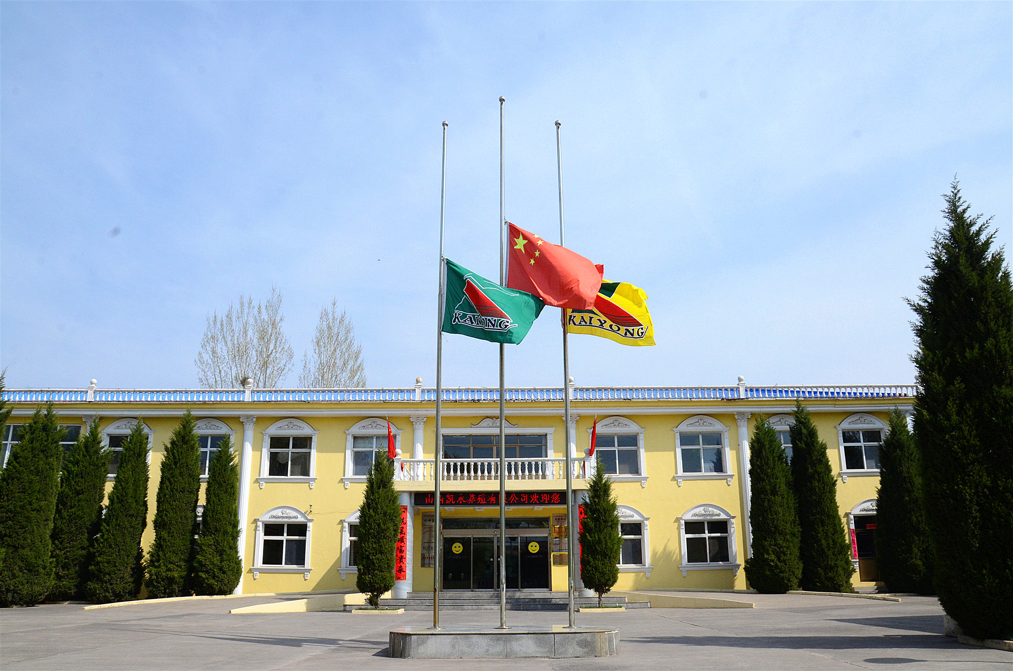365速发国际(中国)官方网站