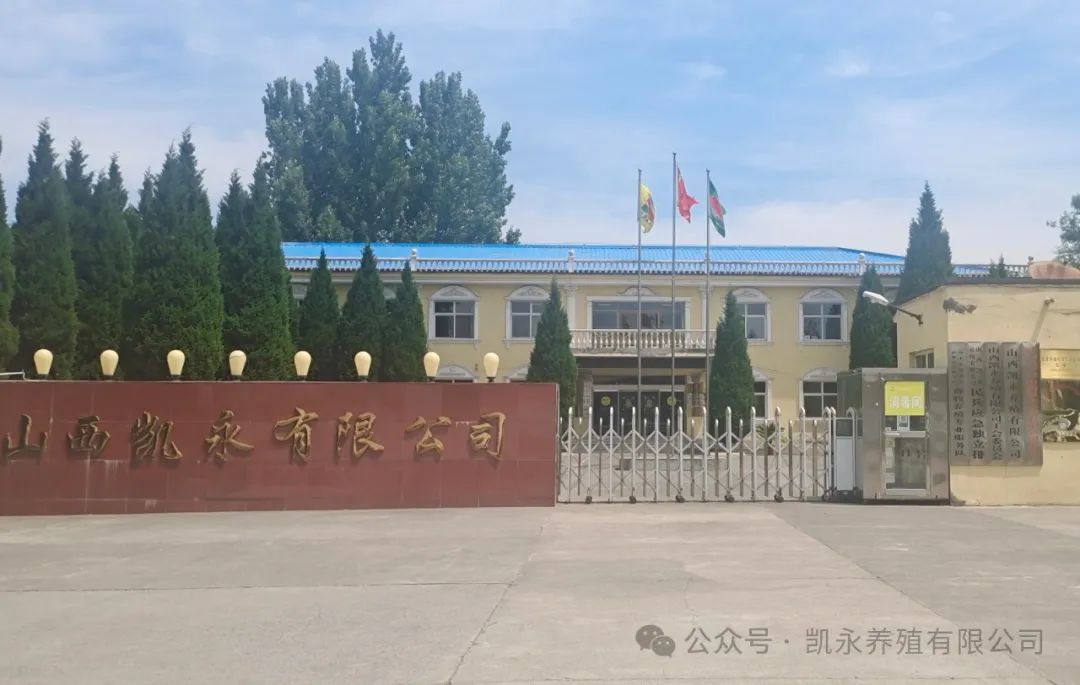 走进奇发28pc养殖有限公司——“生长新质生产力，，寻找源头工厂-风口：生猪工业供应链治理配合体巡回走访运动”山西行