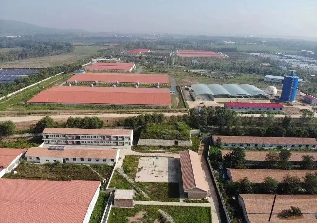 喜报 || 奇发28pc旗下山西奇发28pc养殖有限公司、太行润源食物有限公司喜获农业工业化国家重点龙头企业称呼