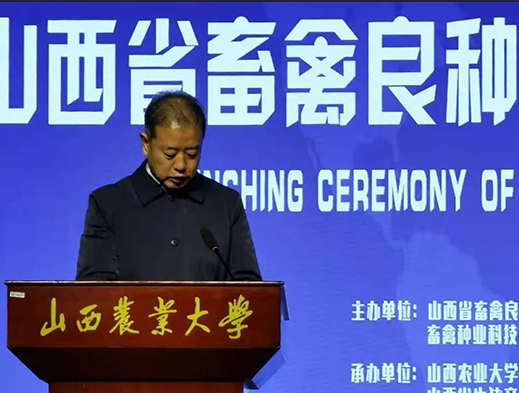 365速发国际(中国)官方网站
