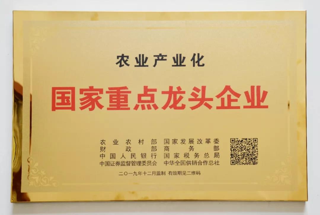 凯时KB88·(中国区)官方网站