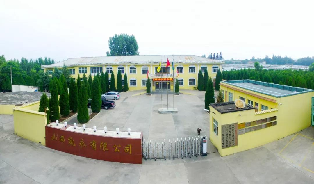bbin·宝盈(中国)集团官方网站首页