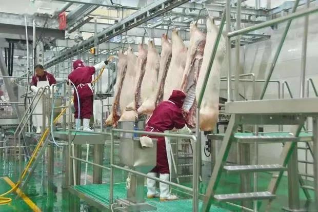 bbin·宝盈(中国)集团官方网站首页