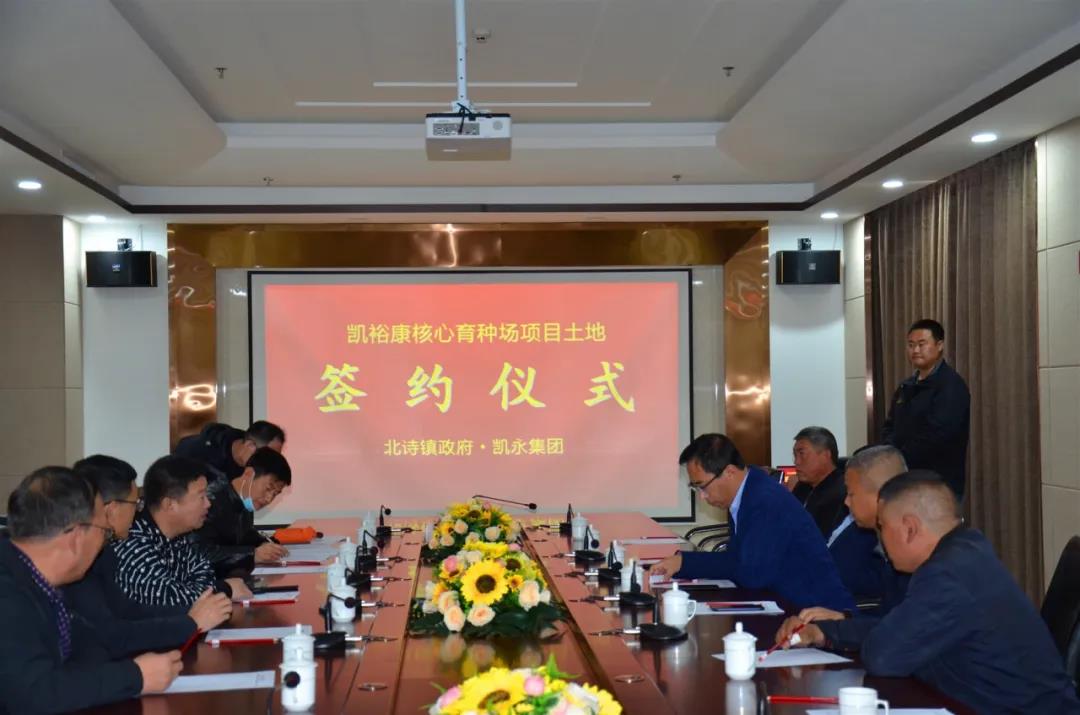 365速发国际(中国)官方网站