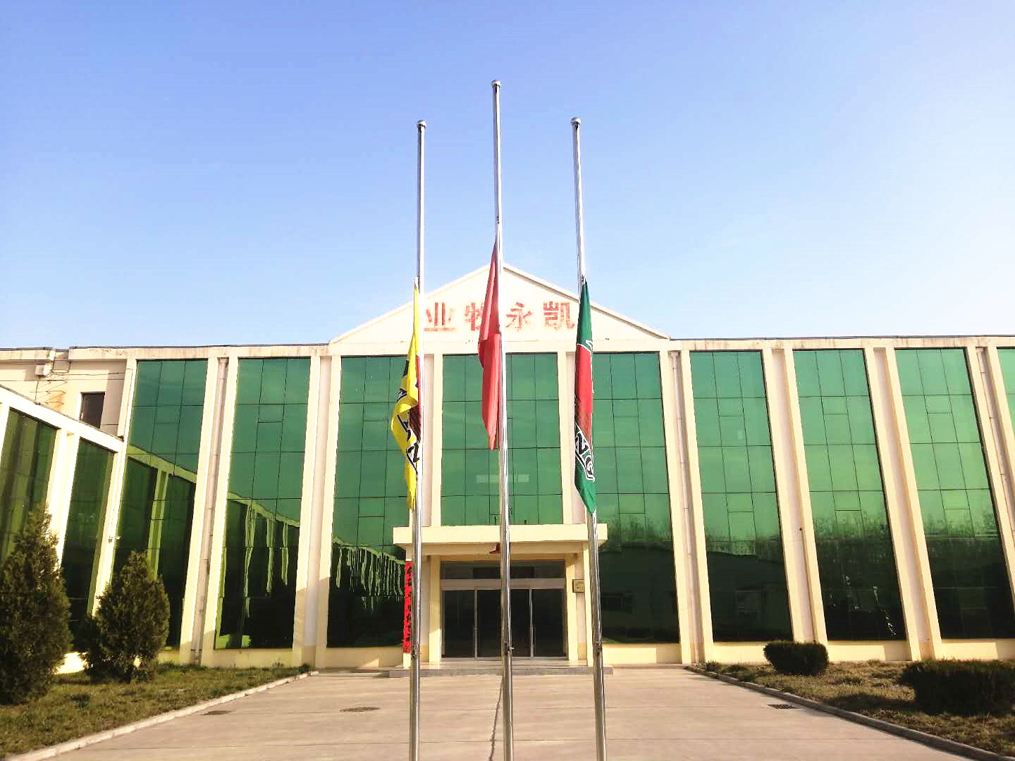 365速发国际(中国)官方网站