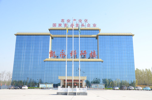 365速发国际(中国)官方网站