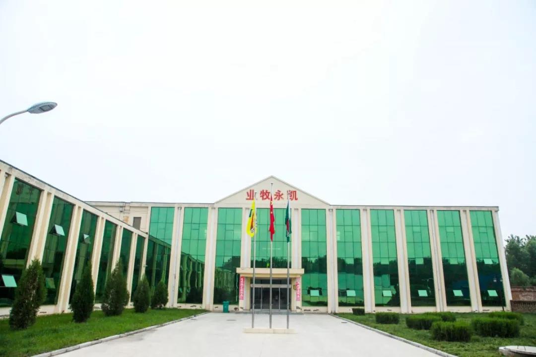 凯时KB88·(中国区)官方网站