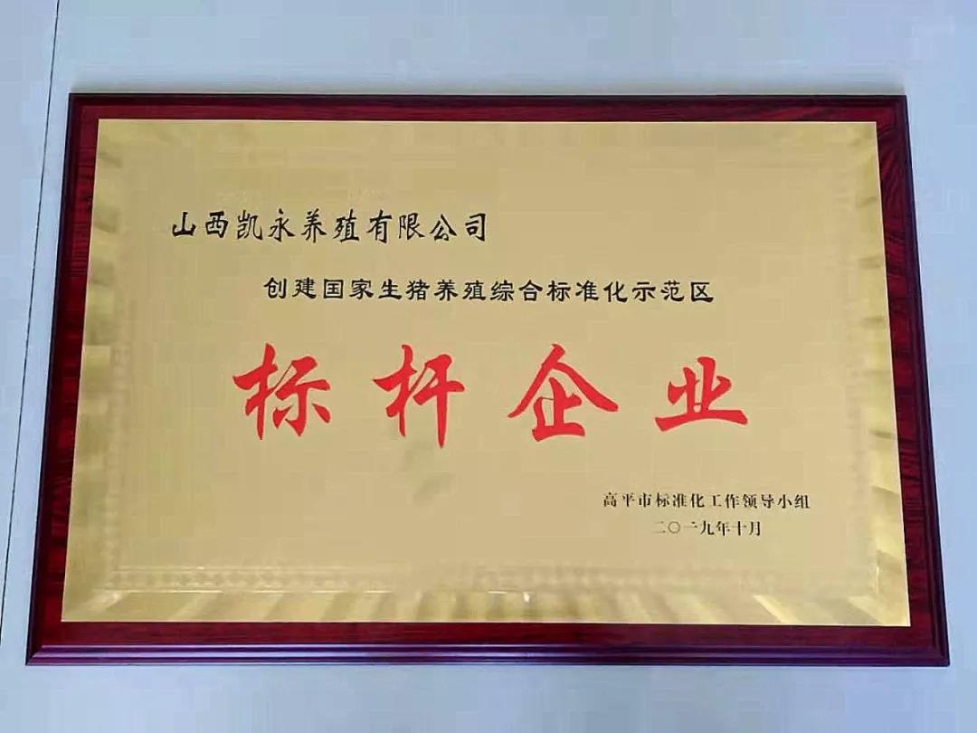 bbin·宝盈(中国)集团官方网站首页