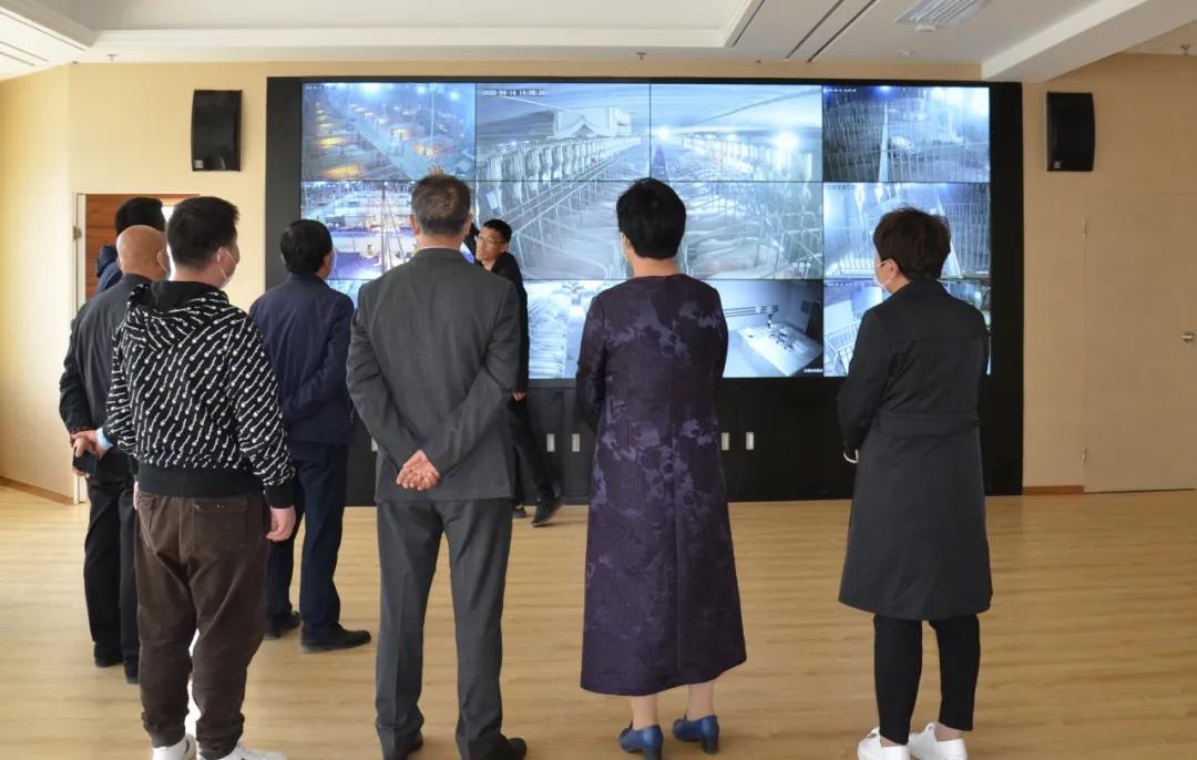 365速发国际(中国)官方网站