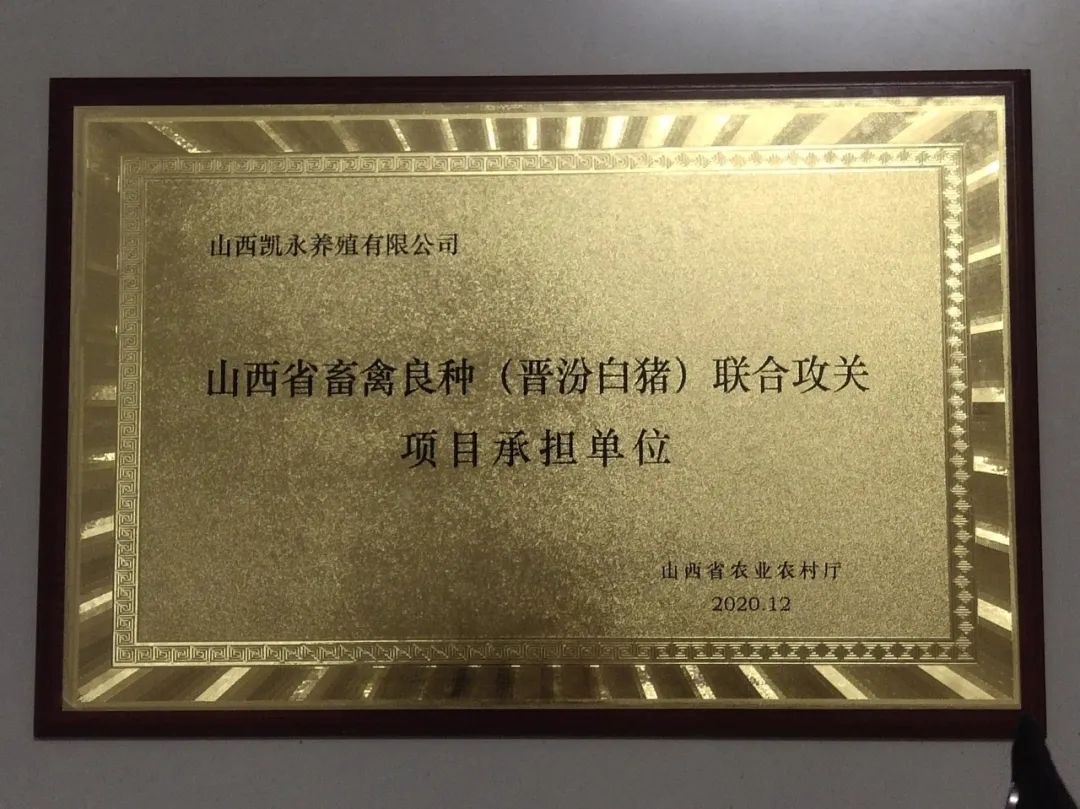 365速发国际(中国)官方网站