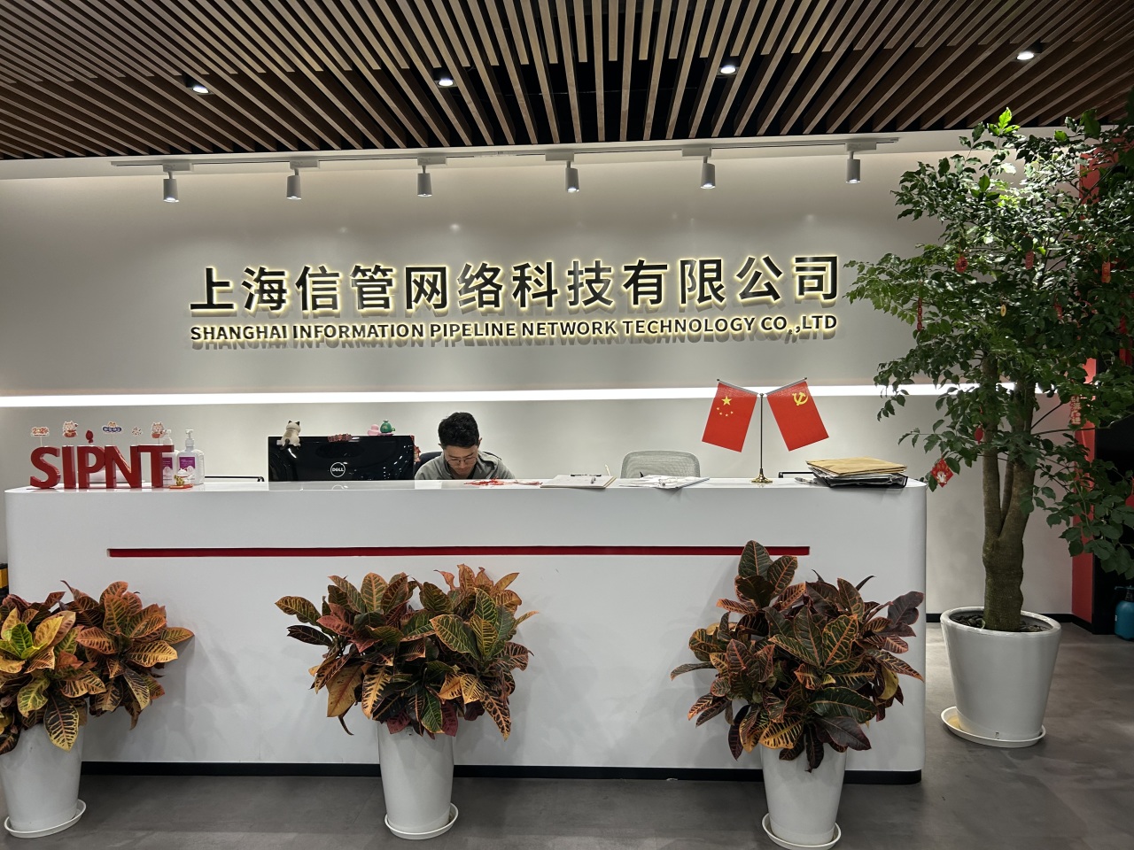 绿植租赁案 | 办公室绿植租摆