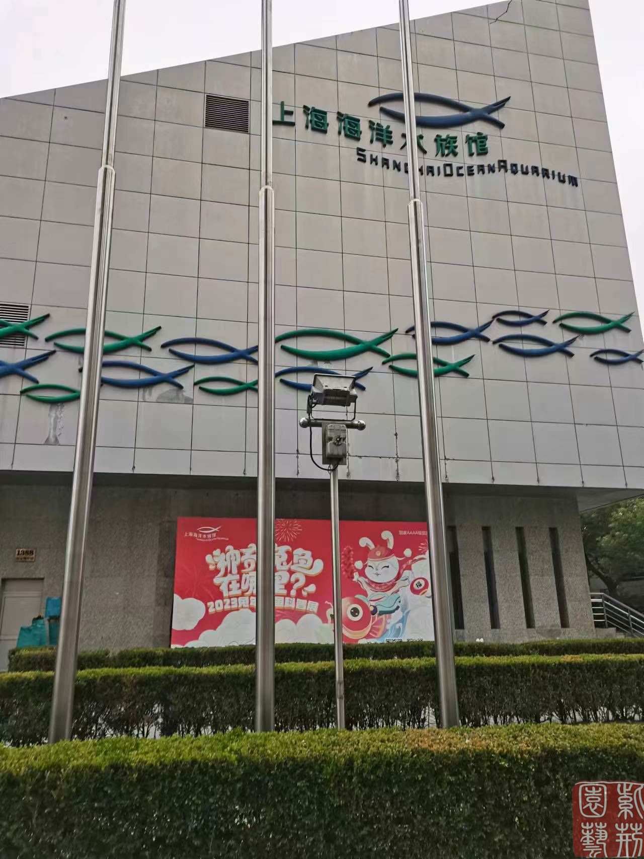 上海海洋水族馆绿植进场啦!