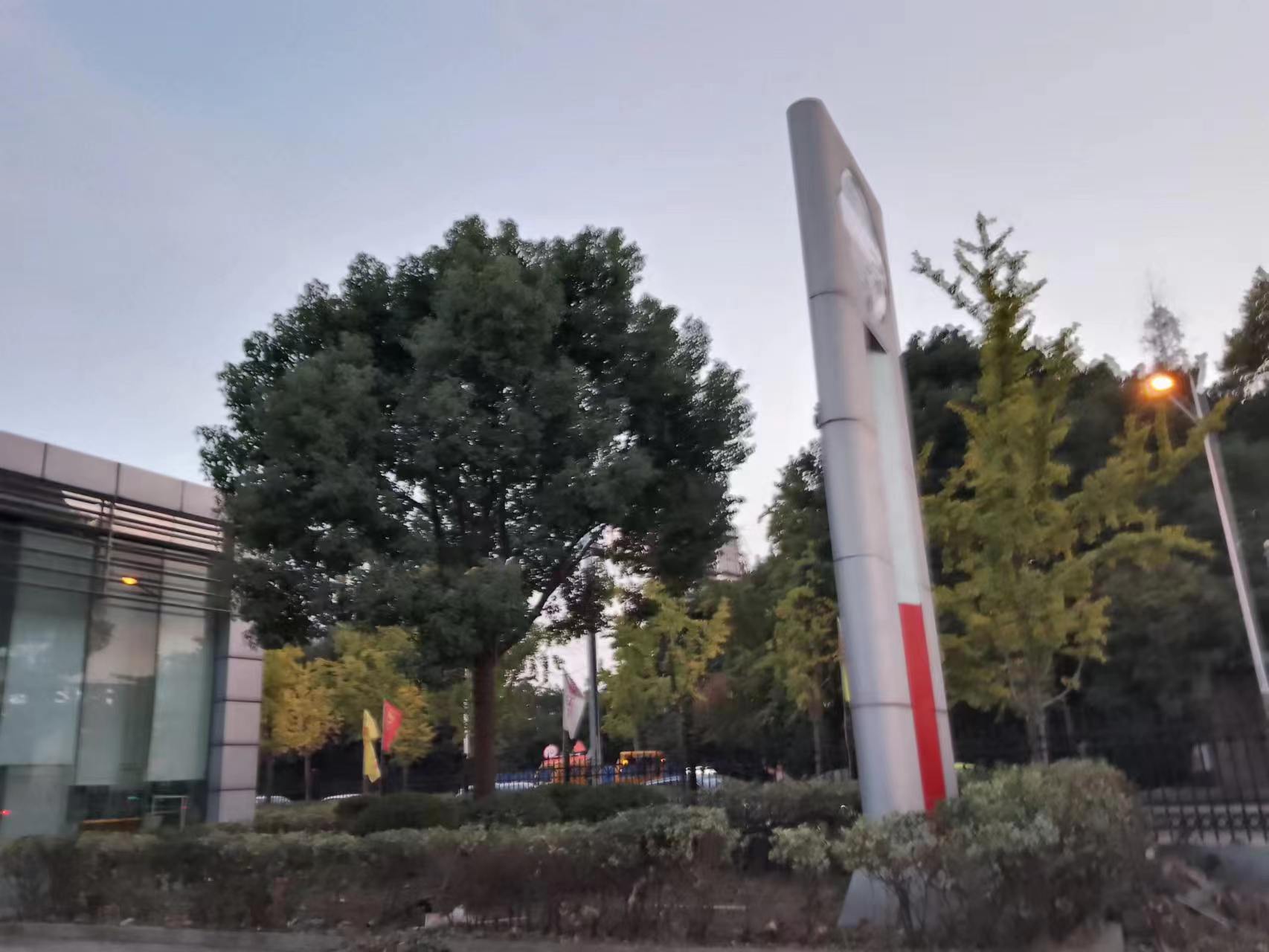 绿化养护案例 · 汽车维修中心绿化养护
