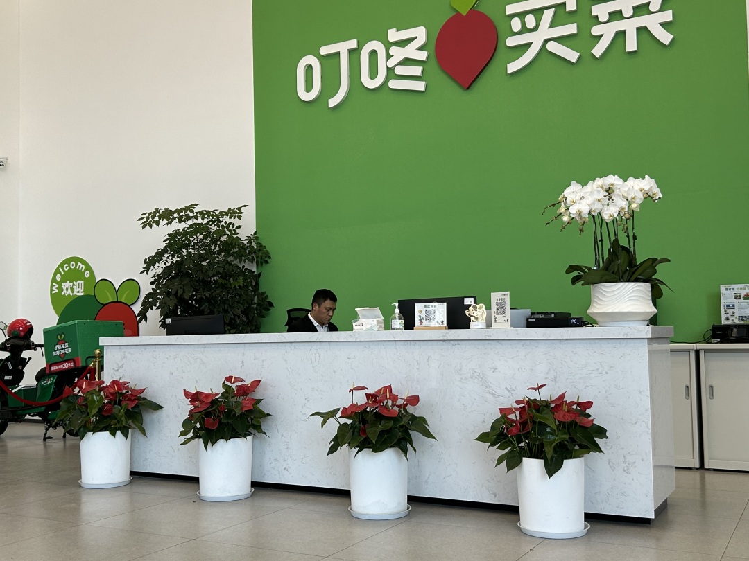 绿植租摆 | 办公楼室内绿植租摆案例（叮咚买菜）
