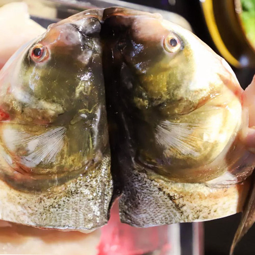 美味魚頭