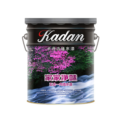 卡丹家家净味五合一内墙水漆