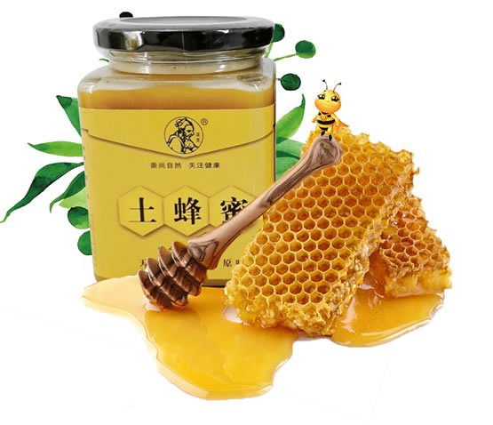 镇安蜂蜜 500g