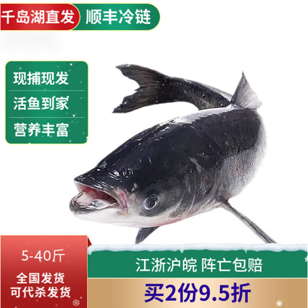 OICC全球有机汇——鳙鱼的功效有哪些？