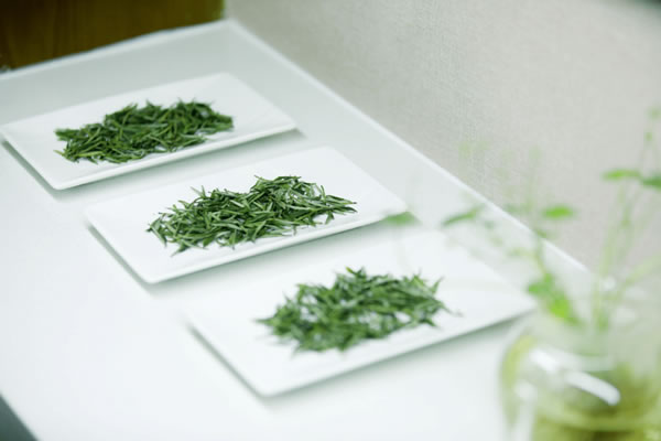 岳西翠兰茶叶 500g