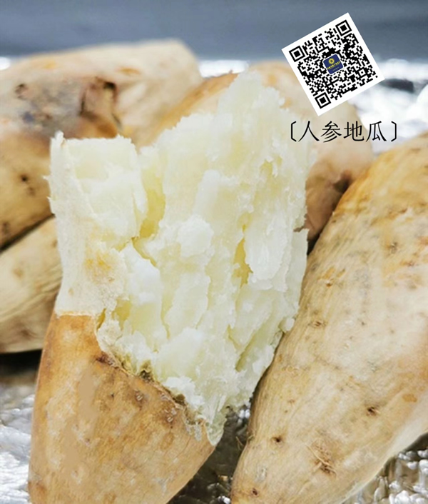 人参地瓜 5斤