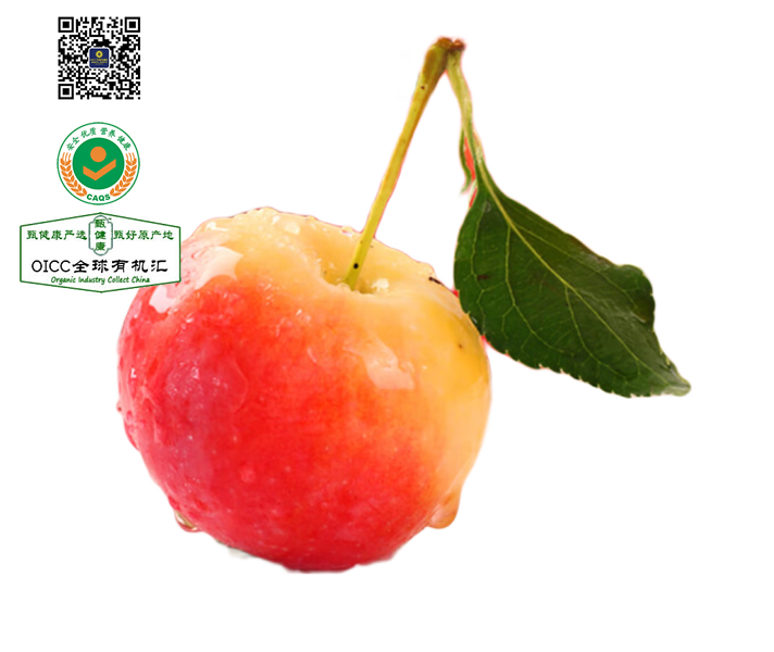 玛纳斯锦绣海棠果