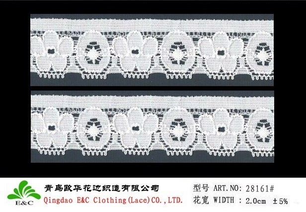 picot edge lace stripe 28161