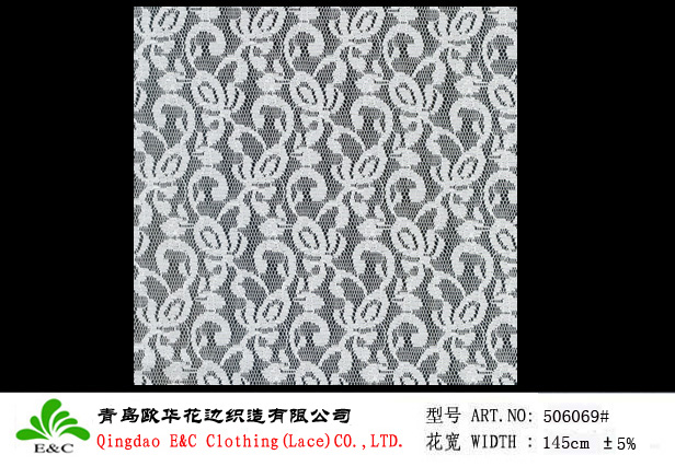 Elastic Allover Lace 506069
