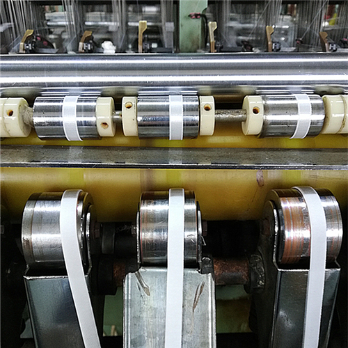 elastic underwear webbing EW6203 series