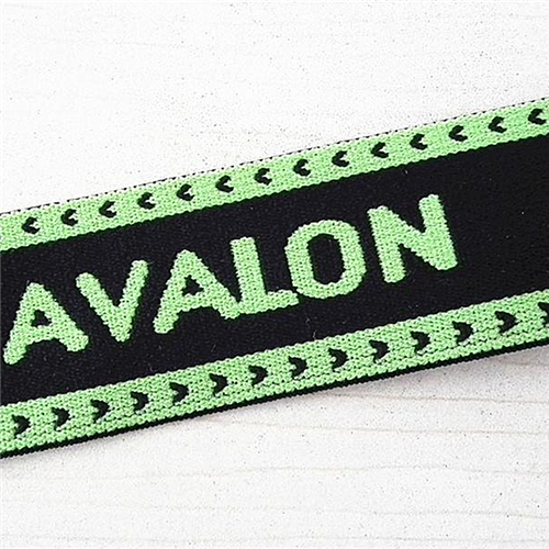 embroidered elastic EW9293R33