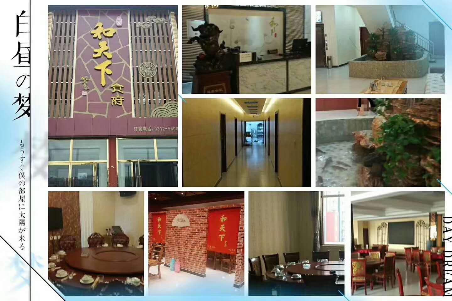 容城：和天下餐饮
