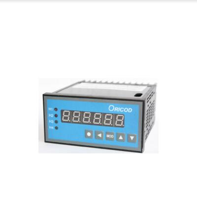 DXM1312系列SSI信号仪表模块