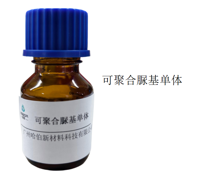 可聚合脲基单体