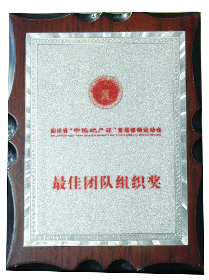 最佳团队组织奖