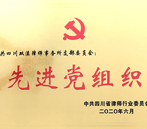 2020年先进党组织