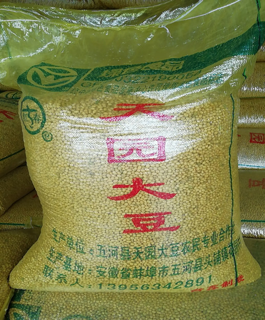 供应  精品黄豆/黑豆   欢迎实地考察订购
