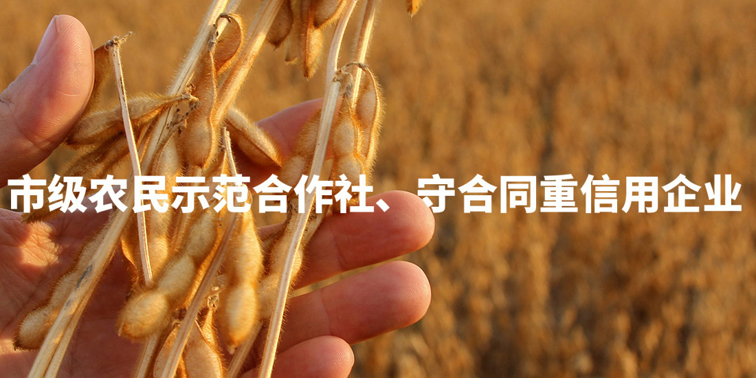 五河县天园豆业农民合作社