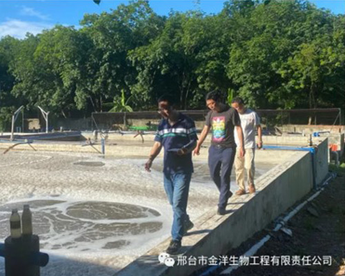 海南橡膠現場