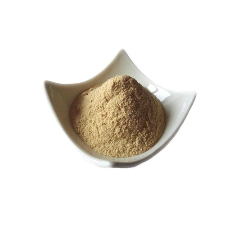 β-葡聚糖酶