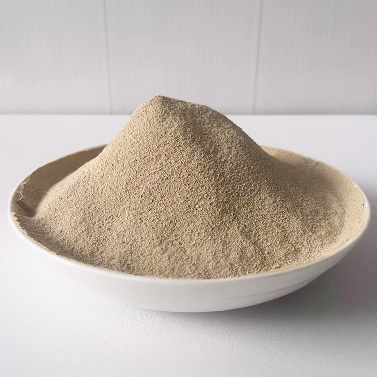 厭氧菌微生物菌種 JYHC-2