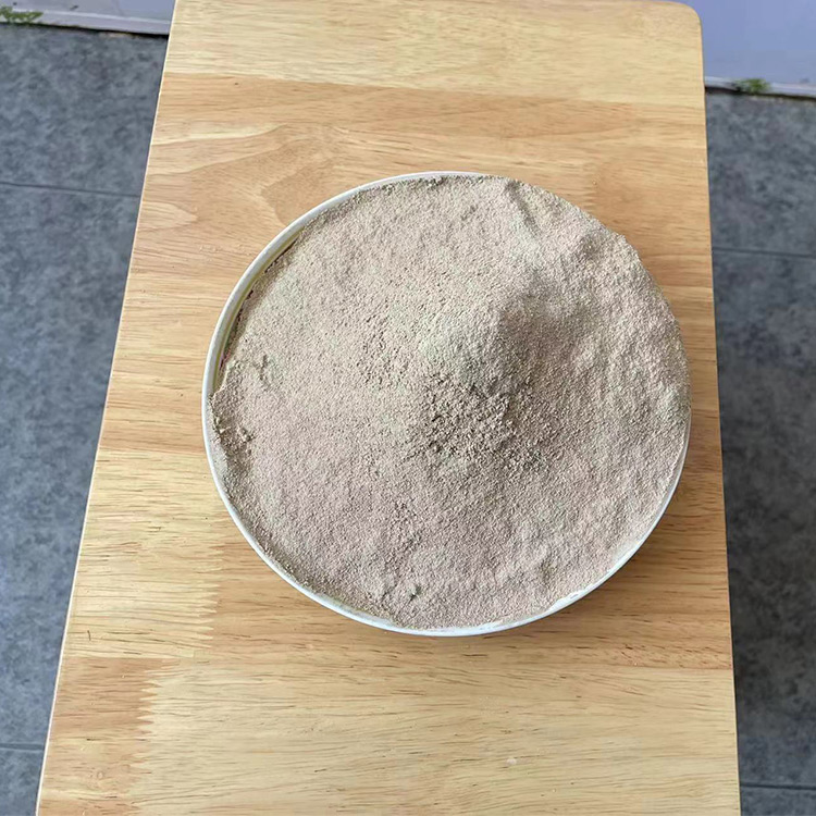 高效COD降解微生物菌種 JYSC-2