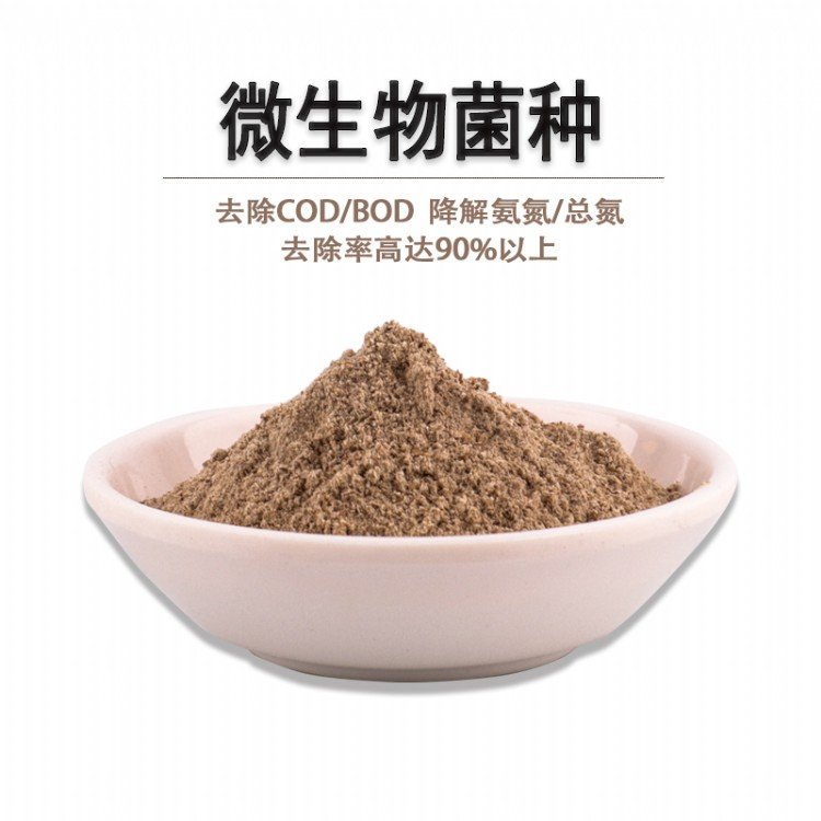 高效微生物硝化菌種 JYSW-06