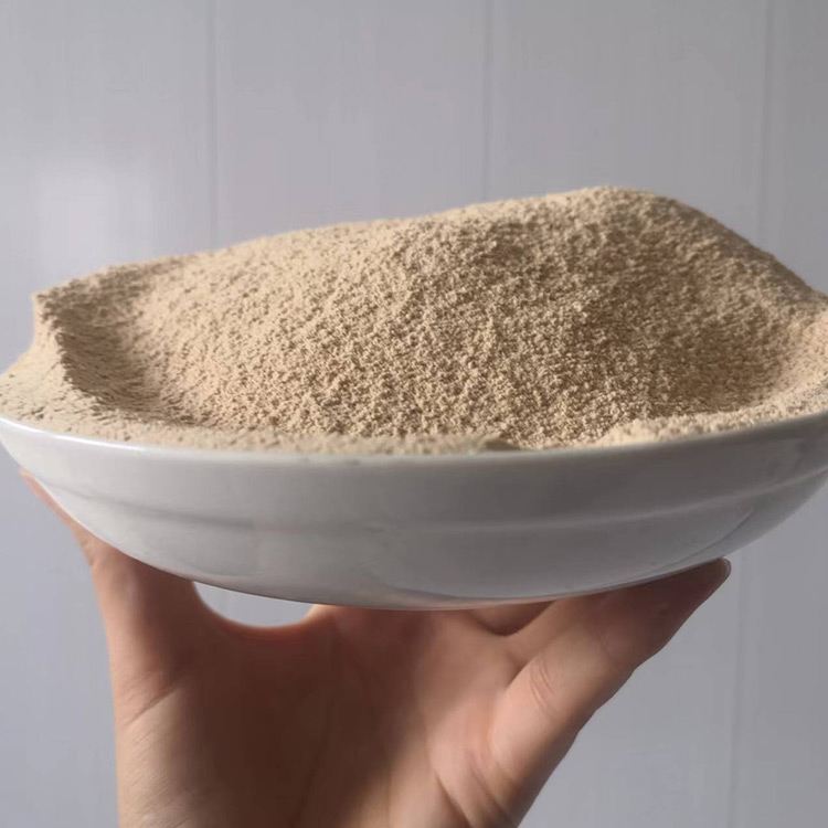 好氧微生物菌種 JYHC-1