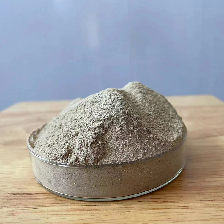 高效COD降解微生物菌種 JYSC-2